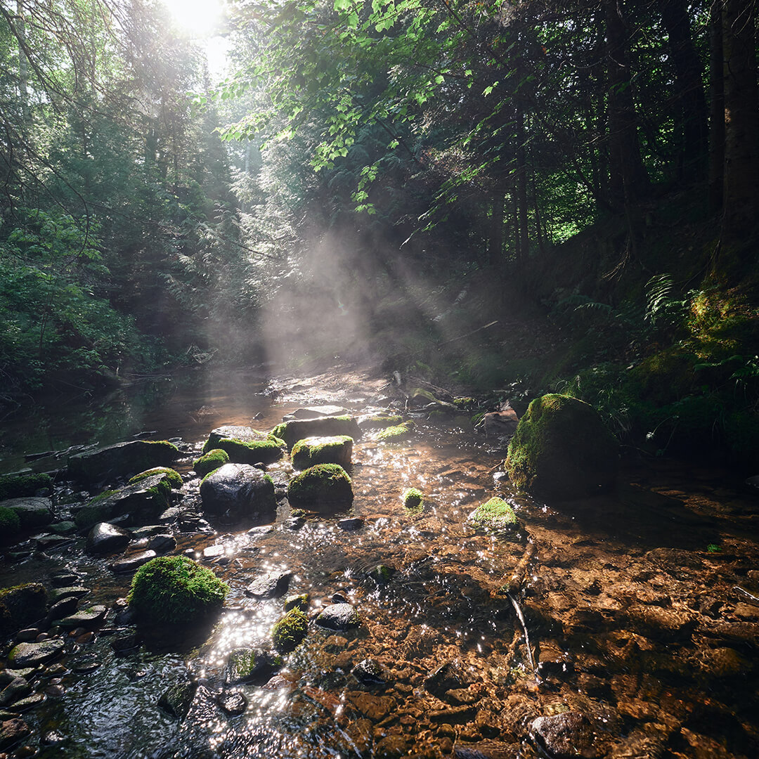 Nanofiltration Filtration Technique