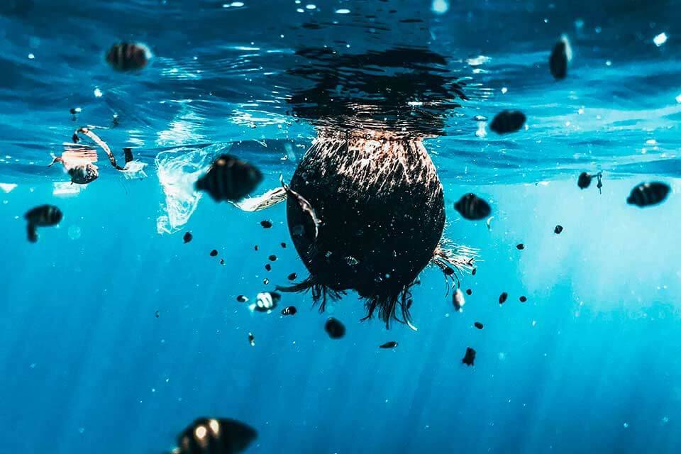 Global Pollution Marine