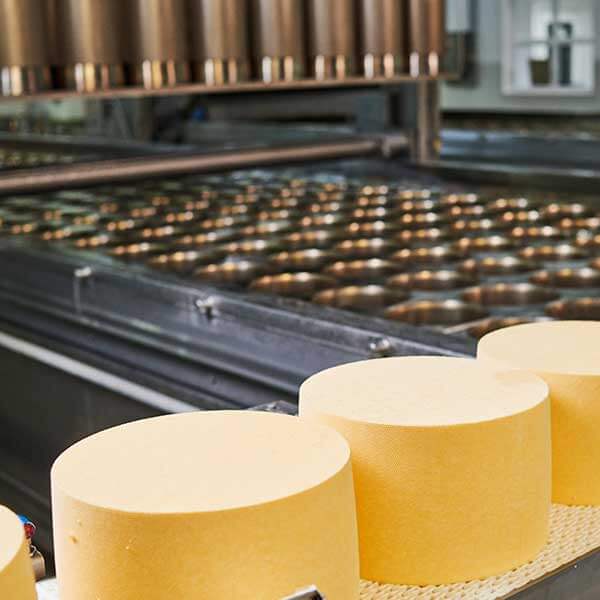 Case Study COD Reduction Dairy