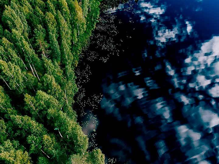 HOW TECHNOLOGY AT SCALE CAN ACCELERATE THE GREEN TRANSITION